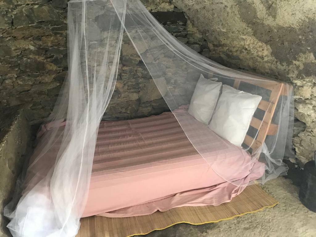 Un habitat troglodyte au centre corse, A cantinella Santa-Lucia-di-Mercurio Esterno foto